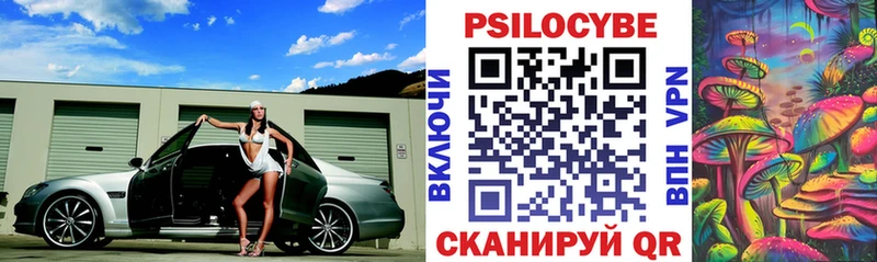 hydra сайт  Петрозаводск  Псилоцибиновые грибы Psilocybe  где можно купить  